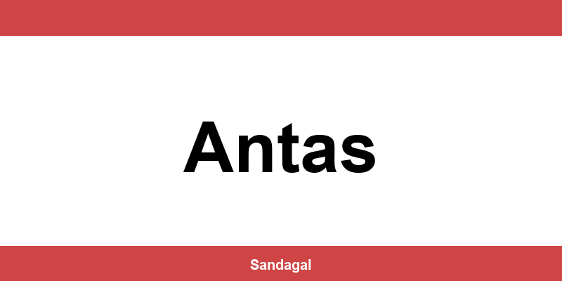 Balcões do banco Santander em Antas